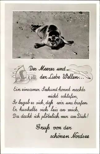 Ak Nordsee Deutschland, Seehund am Strand, Des Meeres und der Liebe Wellen