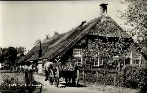 Ak Staphorst Overijssel Niederlande, Boerderij, Pferd, Bauernhof