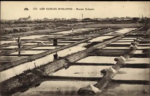 Ak Les Sables d'Olonne Vendée, Marais Salants, Salzfelder