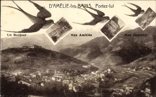 Ak Amelie les Bains Pyrénées Orientales, Vue générale, drei Schwalben im Flug