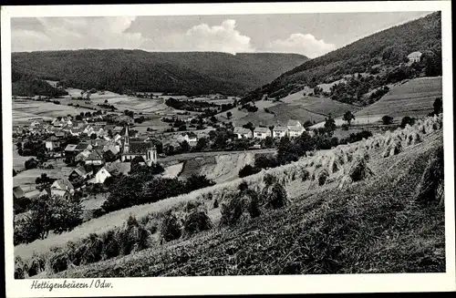 Ak Hettigenbeuern Buchen im Odenwald, Panorama