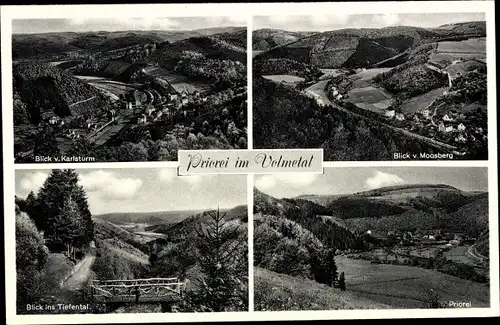 Ak Priorei Hagen in Westfalen, Panorama vom Moosberg und Karlsturm aus, Tiefental