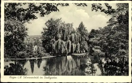 Ak Hagen in Westfalen Ruhrgebiet, Schwanenteich im Stadtgarten