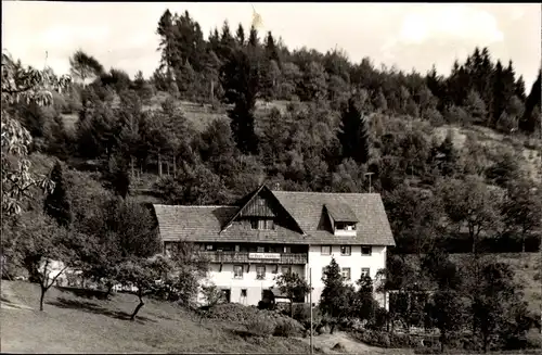 Ak Sasbachwalden im Schwarzwald, Gasthof Schönbüch, Wald
