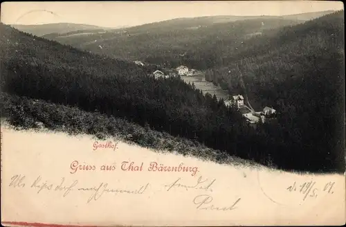 Ak Bärenburg Altenberg im Erzgebirge, Thal, Gasthof, Wald