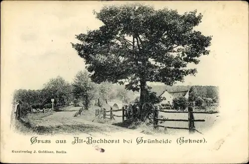 Ak Alt Buchhorst Grünheide in der Mark, Straßenpartie, Zaun, Baum