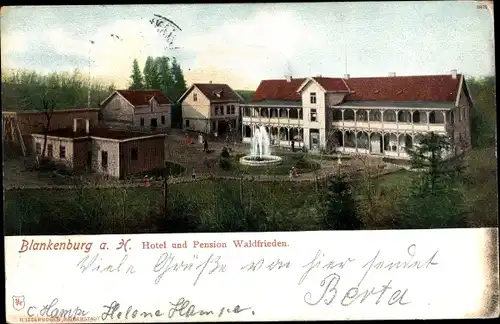 Ak Blankenburg am Harz, Hotel und Pension Waldfrieden