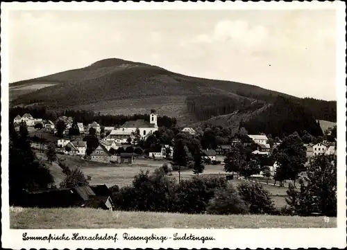 Ak Harrachov Harrachsdorf Riesengebirge Region Reichenberg, Panorama
