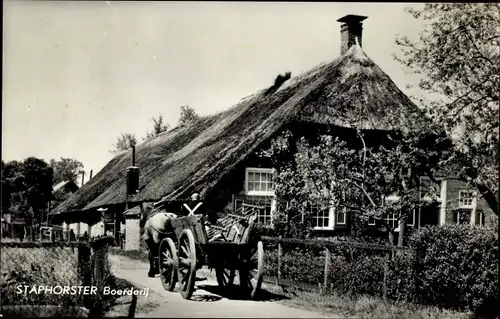 Ak Staphorst Overijssel Niederlande, Boerderij, Pferd, Bauernhof