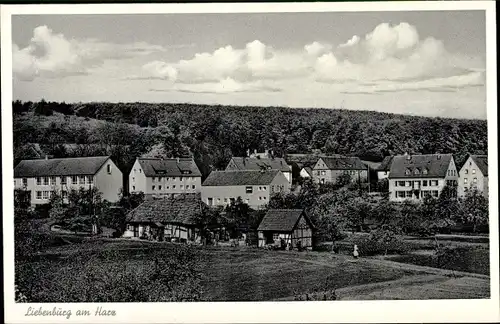 Ak Liebenburg am Harz, Teilansicht