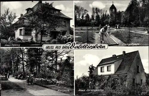 Ak Bad Waldliesborn Lippstadt in Westfalen, Haus Pöhling, Kleingolfplatz, Haus Sprengkamp, Kurpark