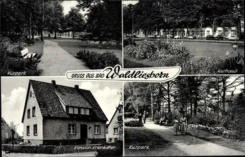 Ak Bad Waldliesborn Lippstadt in Westfalen, Kurhaus, Kurpark, Pension Erlenkötter