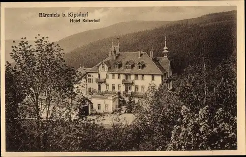 Ak Bärenfels Altenberg im Erzgebirge, Hotel Kaiserhof, Wald, Trenkler 51844