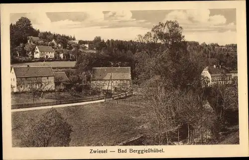 Ak Zwiesel Berggießhübel in Sachsen, Teilansicht