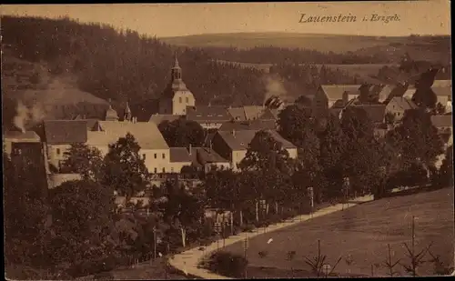 Ak Lauenstein Altenberg im Erzgebirge, Total