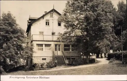 Ak Hirschsprung Altenberg Osterzgebirge, Ferienheim Waldhaus