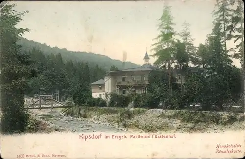 Ak Kipsdorf Altenberg im Erzgebirge, Partie am Fürstenhof