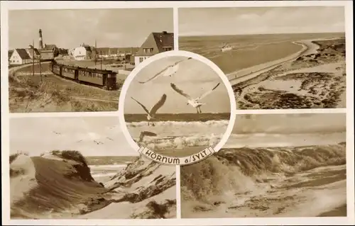 Ak Hörnum auf Sylt Nordfriesland, Strand, Dünen, Möwen, Ort, Leuchtturm