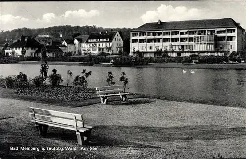 Ak Bad Meinberg am Teutoburger Wald, Moor- und Kohlensäure Moorbad, Seepartie