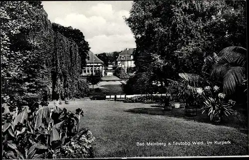 Ak Bad Meinberg am Teutoburger Wald, Moor- und Kohlensäure Moorbad, Im Kurpark