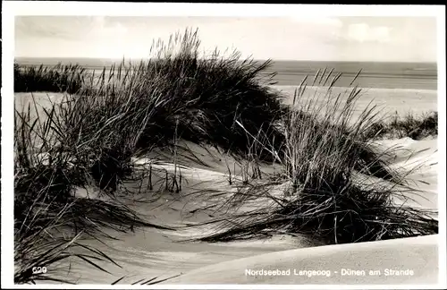 Ak Nordseebad Langeoog in Ostfriesland, Dünen am Strand
