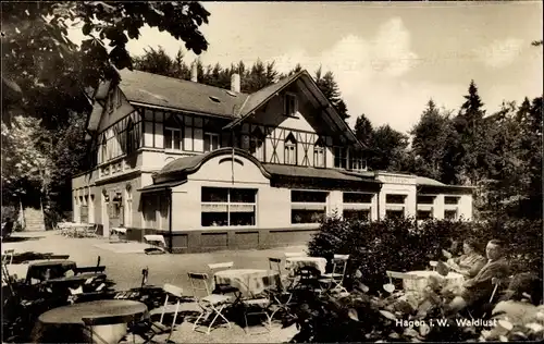 Ak Hagen in Westfalen, Waldlust