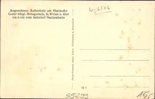 Ak Nackenheim am Rhein, Gasthaus zur Stadt Mainz, Panorama