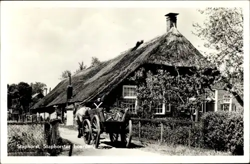 Ak Staphorst Overijssel Niederlande, Boerderij, Pferd, Bauernhof