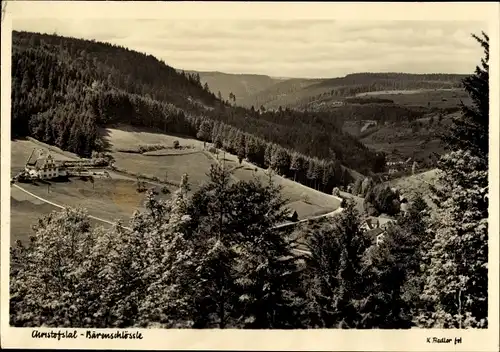 Ak Freudenstadt im Nordschwarzwald, Blick ins Christofstal, Bärenschlössle