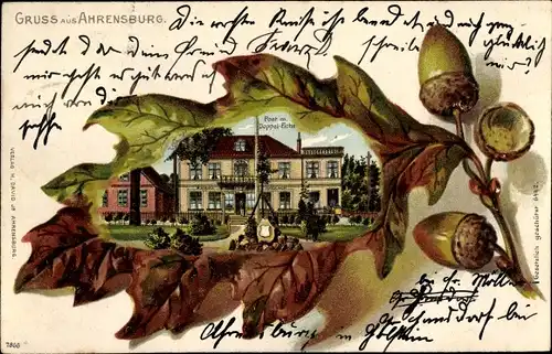 Eichenblatt Litho Ahrensburg in Schleswig Holstein, Post m. Doppeleiche