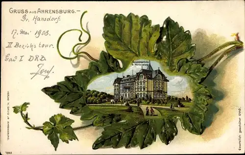 Präge Weinblatt Litho Ahrensburg im Kreis Stormarn, Genesungsheim