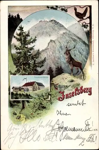 Künstler Ak Brotterode Trusetal in Thüringen, Großer Inselsberg, Preußischer Gasthof, Hirsch