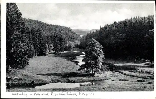 Ak Hachenburg im Westerwald, Kroppacher Schweiz, Nisterpartie