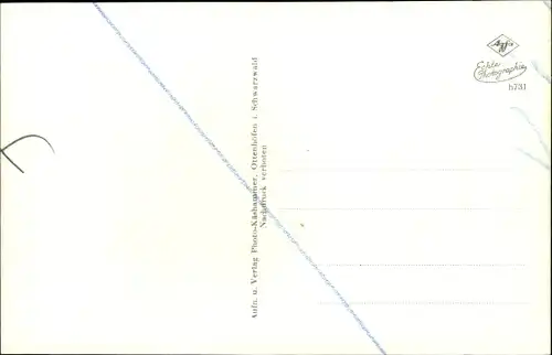 Ak Ottenhöfen im Schwarzwald, Panorama vom Ort
