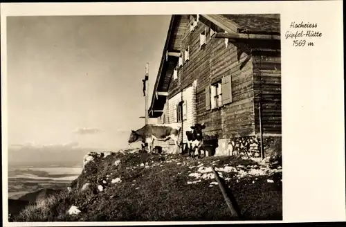Ak Törwang Samerberg in Oberbayern, Hochries Gipfel Hütte, Kühe