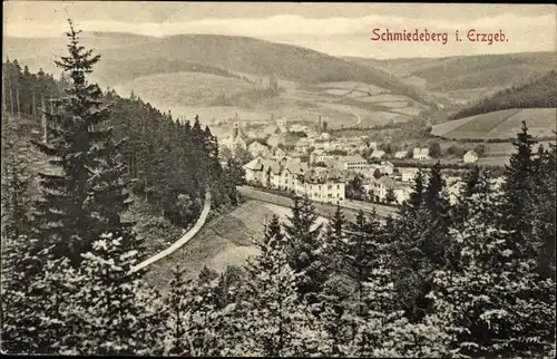 Ak Schmiedeberg Dippoldiswalde im Erzgebirge, Ort mit Umgebung