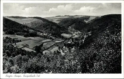 Ak Haspe Hagen Westfalen, Hasperbach Tal