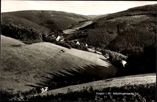 Ak Hagen in Westfalen, Mäckingerbach Tal