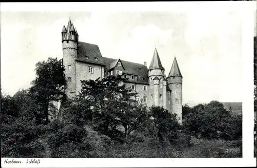 Ak Herborn Lahn Dill Kreis Hessen, Partie am Schloss von Wald umgeben