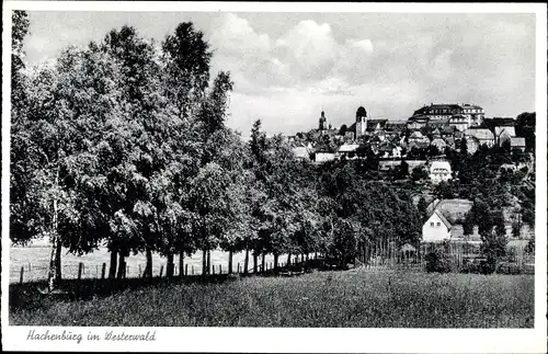 Ak Hachenburg im Westerwald, Blick auf den Ort, Bäume