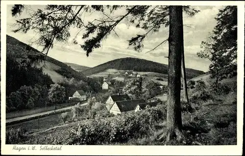 Ak Hagen in Westfalen Ruhrgebiet, Selbecketal