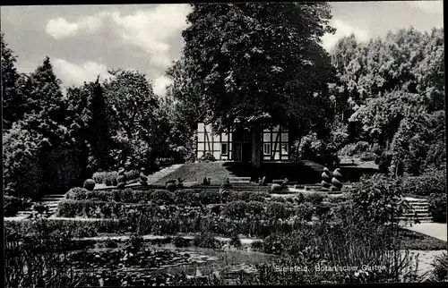 Ak Bielefeld in Nordrhein Westfalen, Botanischer Garten