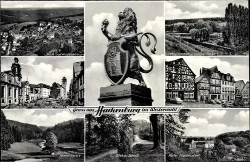 Ak Hachenburg Westerwald, Schwimmbad, alter Markt, Abtei Marienstatt, Schloss, Löwe mit Wappen