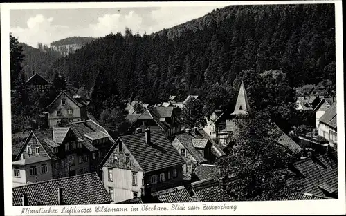 Ak Wildemann Clausthal Zellerfeld im Oberharz, Blick vom Zickzackweg