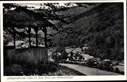 Ak Sieber Herzberg am Harz, Blick vom Breitentalskopf