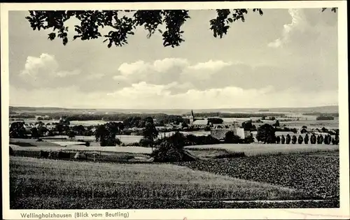 Ak Wellingholzhausen Melle in Niedersachsen, Blick vom Beutling