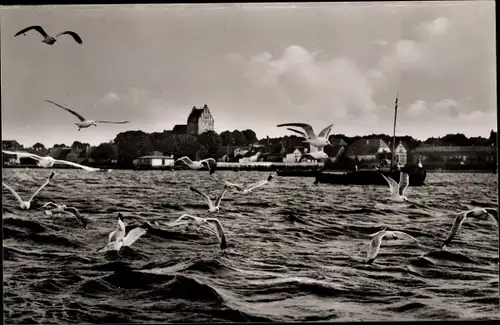 Ak Ostseebad Heiligenhafen in Holstein, Panorama, Möwen