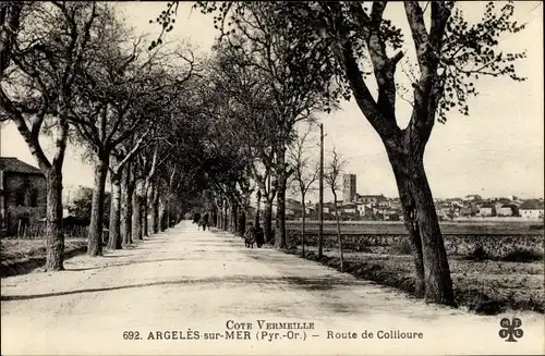 Ak Argelès sur Mer Pyrénées Orientales, Route de Collioure