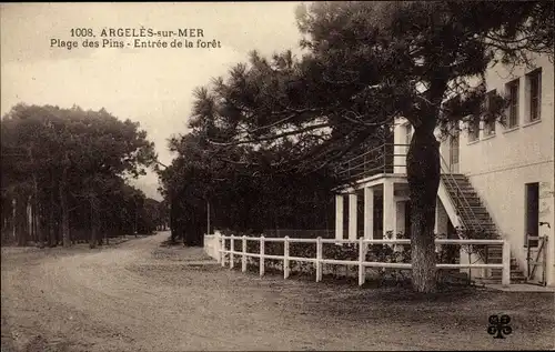 Ak Argelès sur Mer Pyrénées Orientales, Le Grand Hôtel de la Plage des Pins