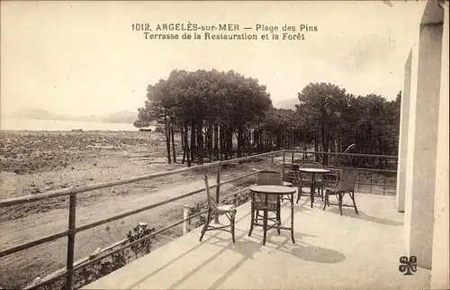 Ak Argelès sur Mer Pyrénées Orientales, Plage des Pins, Terrasse de la Restauration et la Fôret